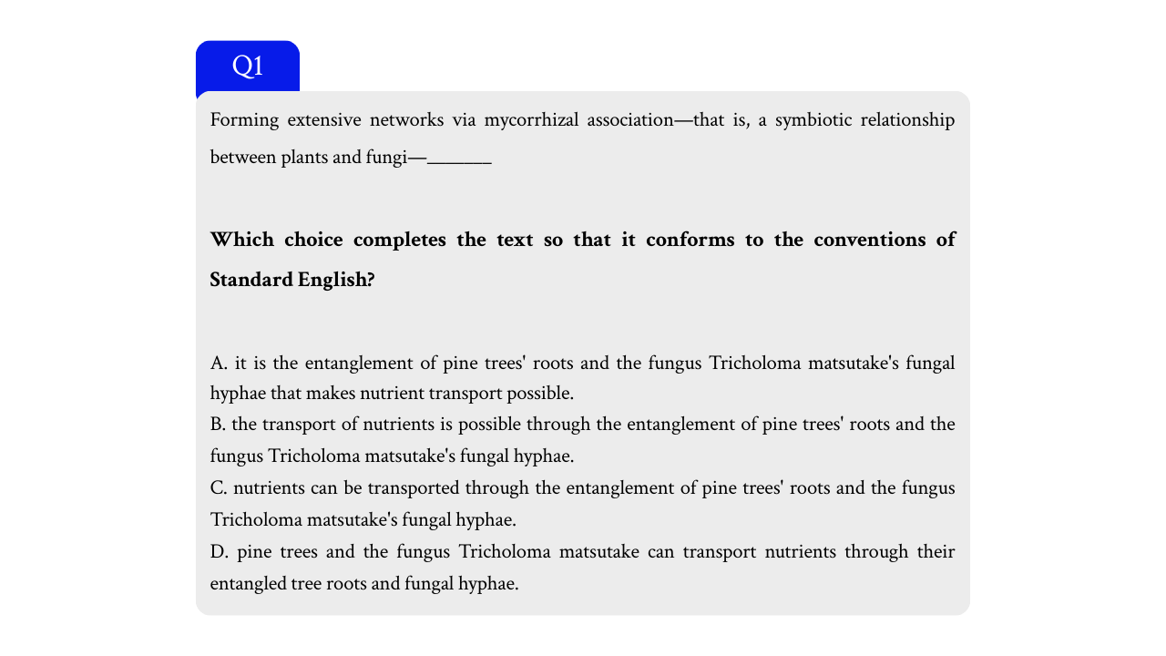 3월 SAT RW 예상문제